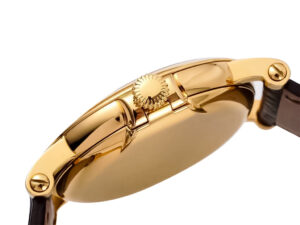 Side view of the Calatrava Yellow Gold watch (38mm) with a polished gold case, crown detail, and brown leather strap.