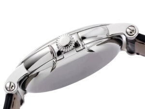 Side view of the Calatrava Stainless Steel watch (38mm) showcasing its polished case and crown detail on a leather strap.