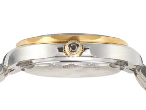 Side view of the Seamaster Diver 300 Two Tone with Black Dial (42mm), showcasing its stainless steel and gold accents.