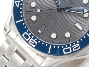 Seamaster Diver 300 Stainless Steel with Silver Dial (42mm) featuring bold blue bezel, wave-pattern dial, and date display.